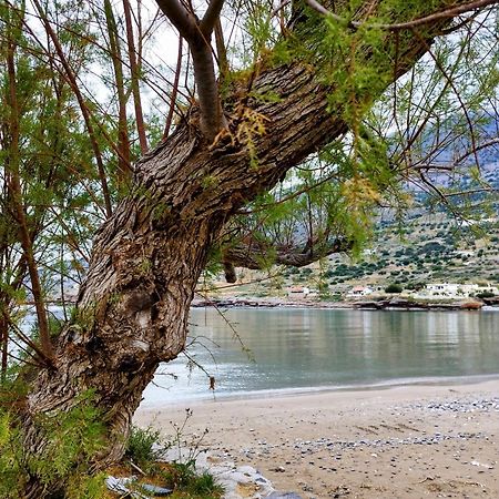 Tholos Alexandra'S Beachfront House Kavoúsion Екстериор снимка