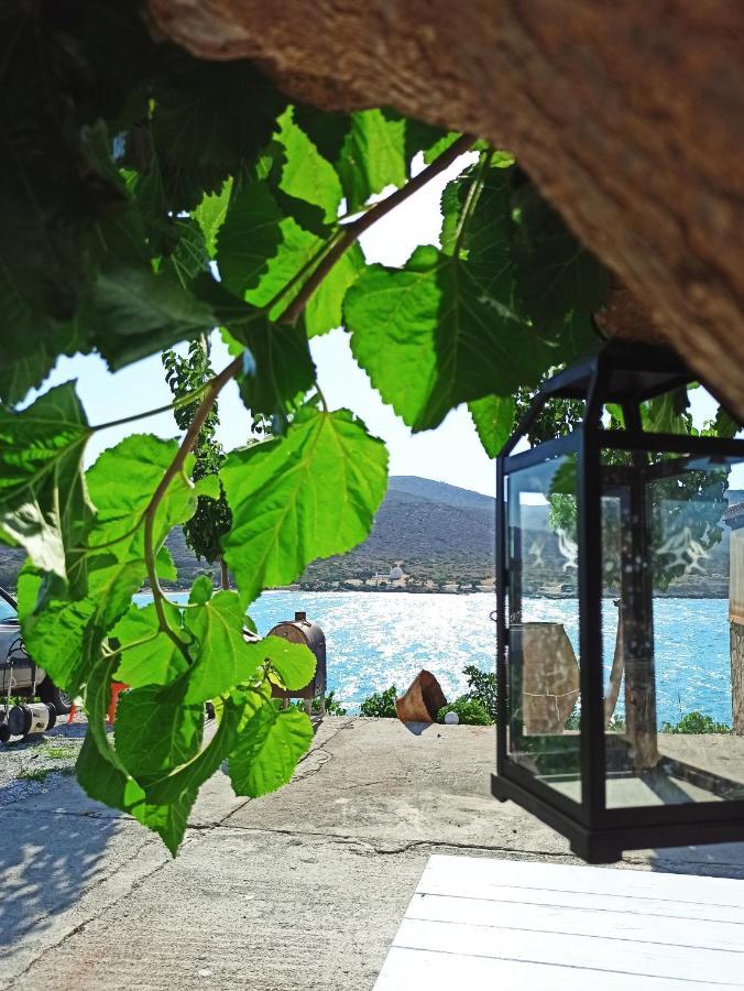Tholos Alexandra'S Beachfront House Kavoúsion Екстериор снимка