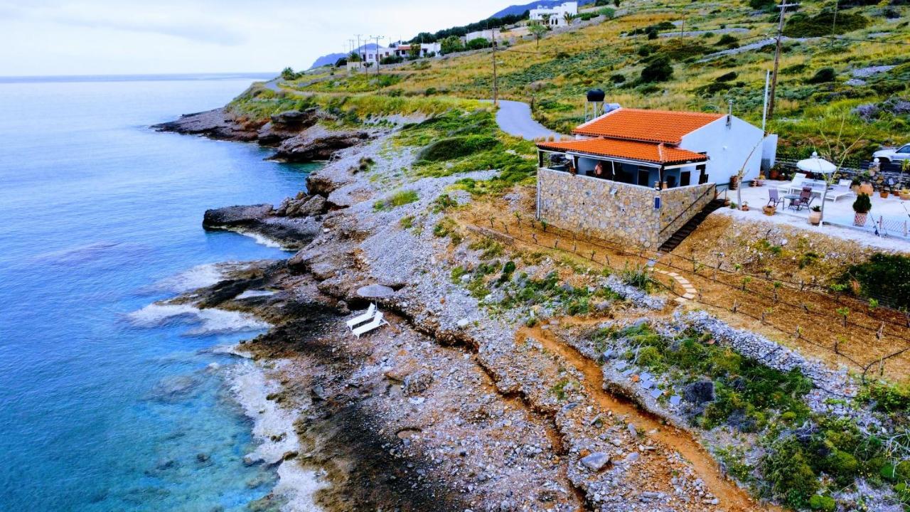 Tholos Alexandra'S Beachfront House Kavoúsion Екстериор снимка