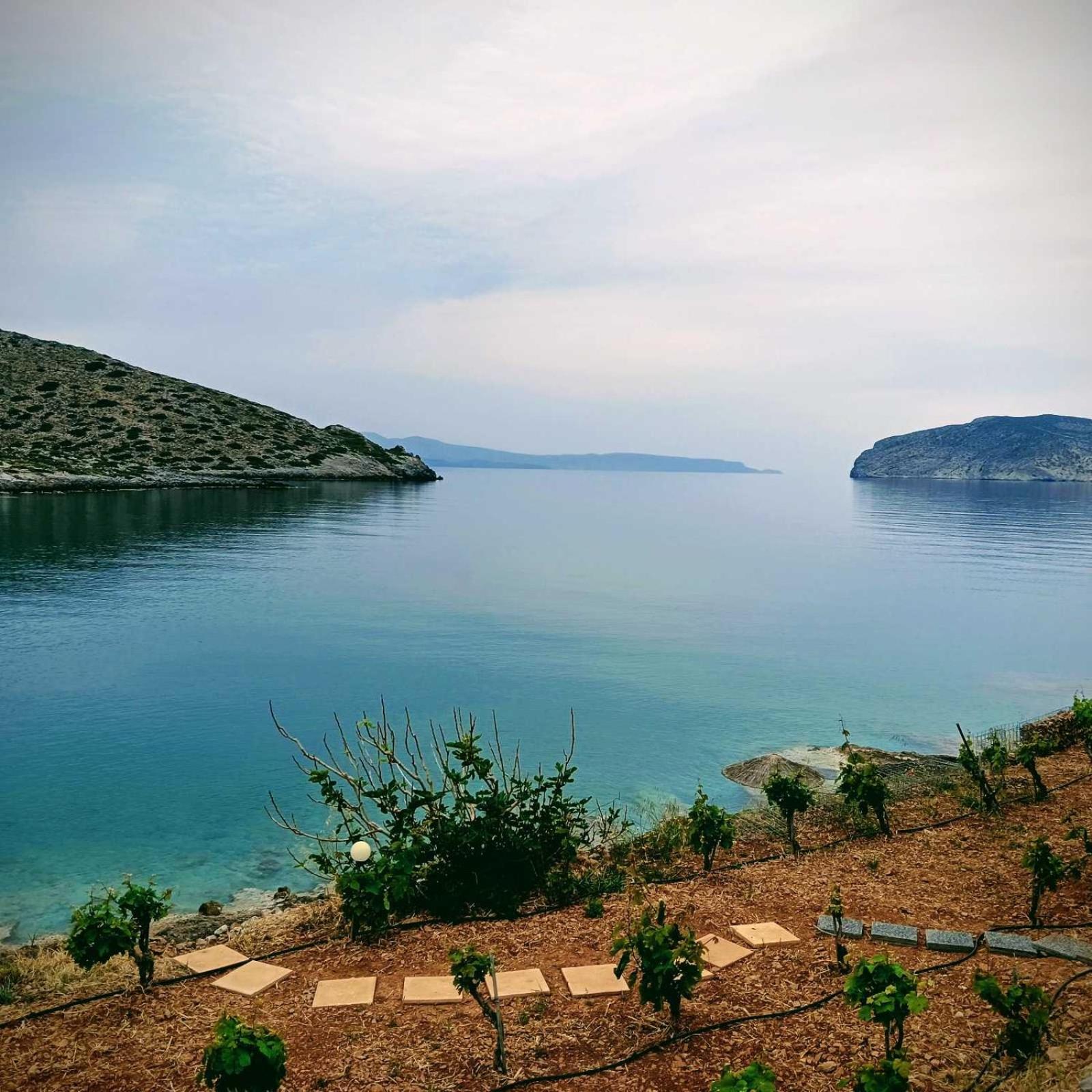 Tholos Alexandra'S Beachfront House Kavoúsion Екстериор снимка